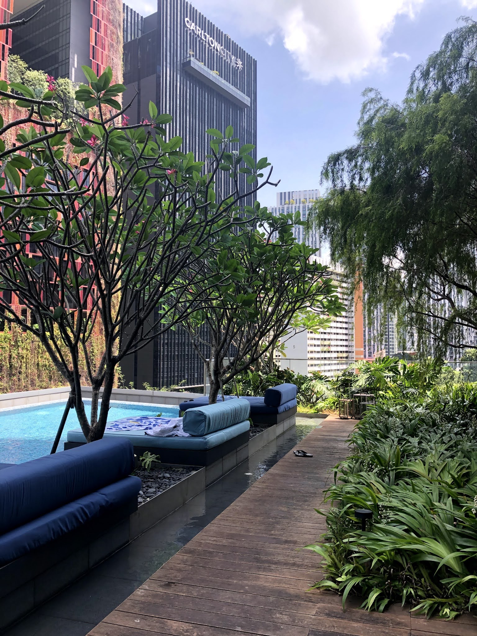 Sofitel Singapore City Center – Prestige Suite Room Review