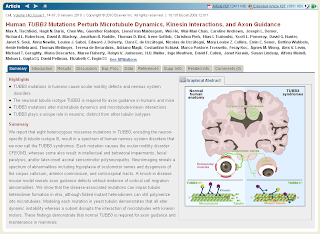 elsevier paper journal format problems What research the they paper traditional are of to trying