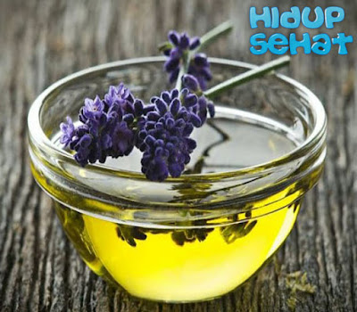 5 Manfaat Menakjubkan Dari Minyak Lavender