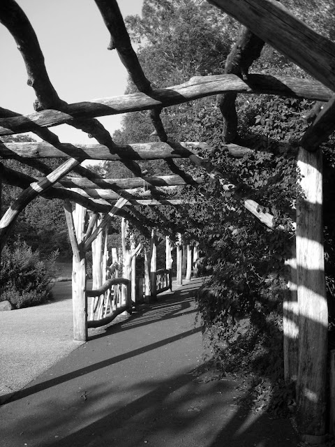 Wooden arbor in black and white