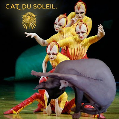 Kitty Cirque du Soleil