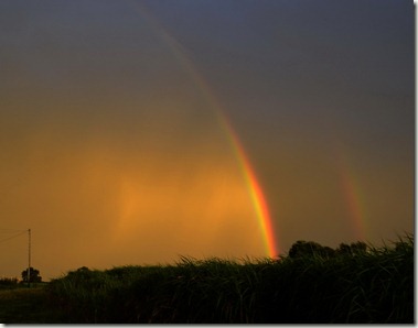 rainbow remnants s