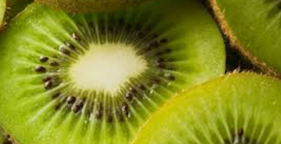 Kiwi Fruit Pre-biotic Property