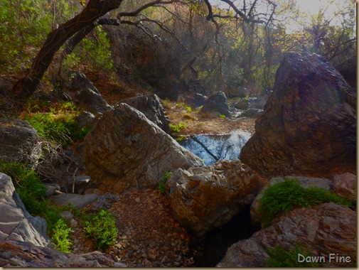 Cat tail Falls_048