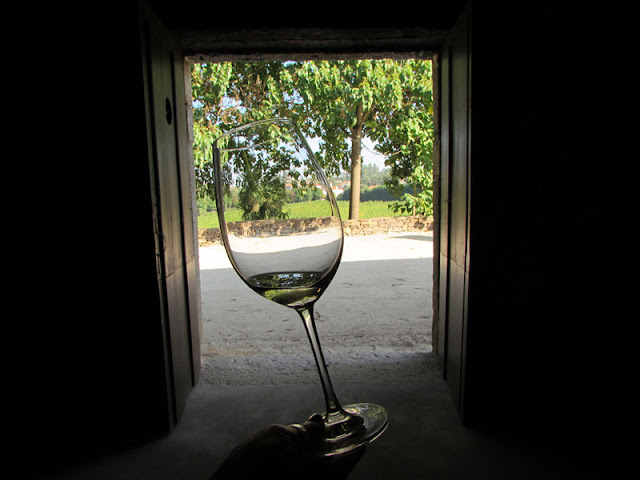 uma mão segurando um copo de vinho em frente a uma porta aberta com vinhas ao fundo