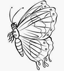Dunia Sketsa  Gambar sketsa  kupu kupu
