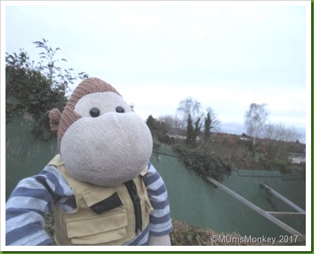 wonkey fence..