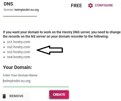 nameserver untuk domain gratisan