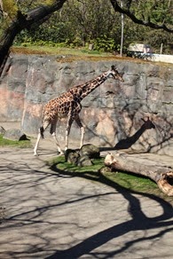 IMG_2037