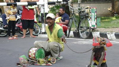 Dari Kertosari Topeng Monyet Beraksi