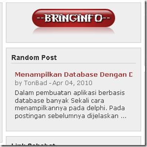 random post blog secara dinamis-www.bringinfo.co.cc