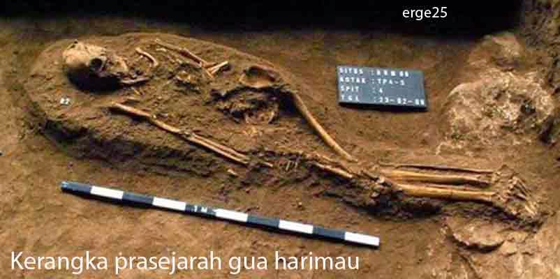 Misteri, Penemuan, Manusia, Prasejarah, Di, Situs, Gua, Harimau