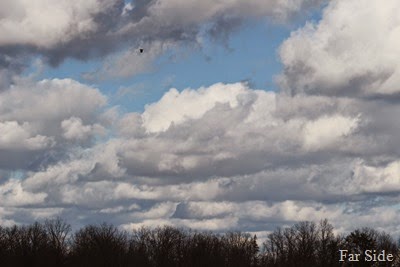Clouds