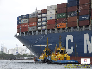 CMA CGM Vela, SAAM Arara e SAAM Parintins