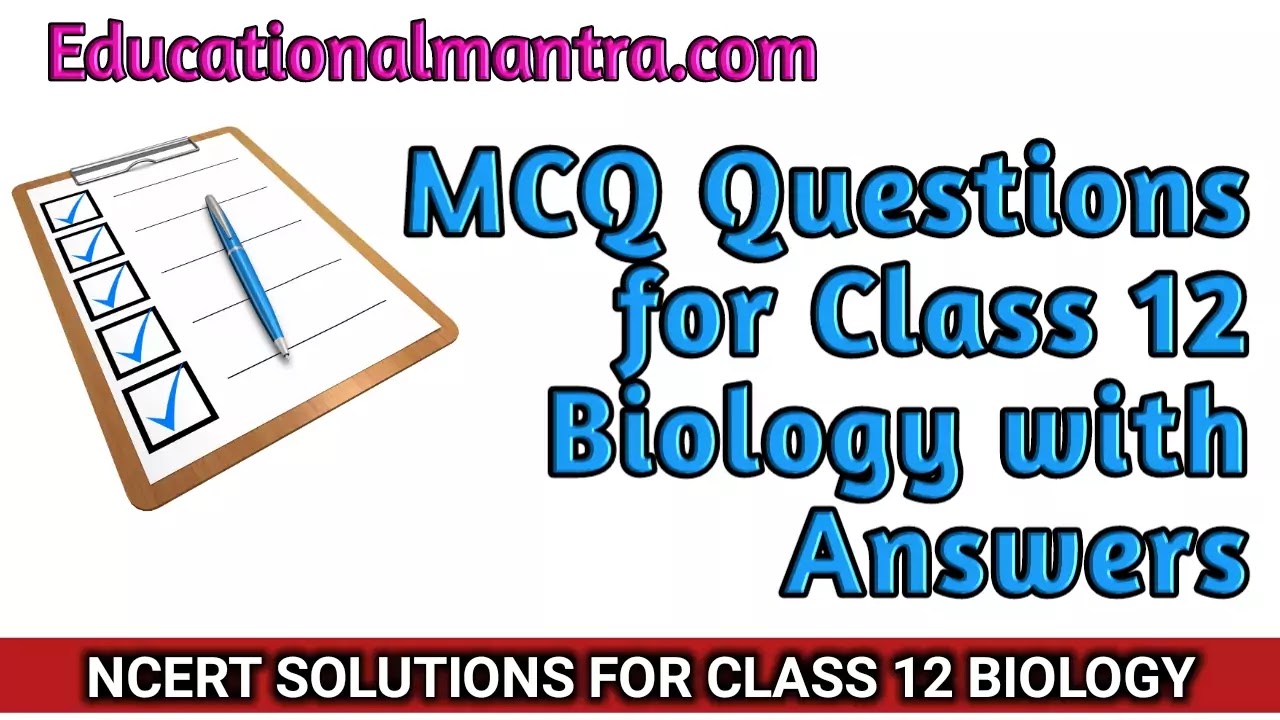 Mcq Questions For Class 12 Biology Chapter 6 Molecular Basis Of Inheritance With Answers Mcq Questions For Class 12 Biology Chapter 6 Molecular Basis Of Inheritance With Answers