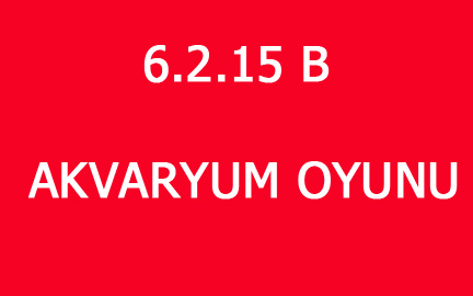 6.2.15 B AKVARYUM OYUNU