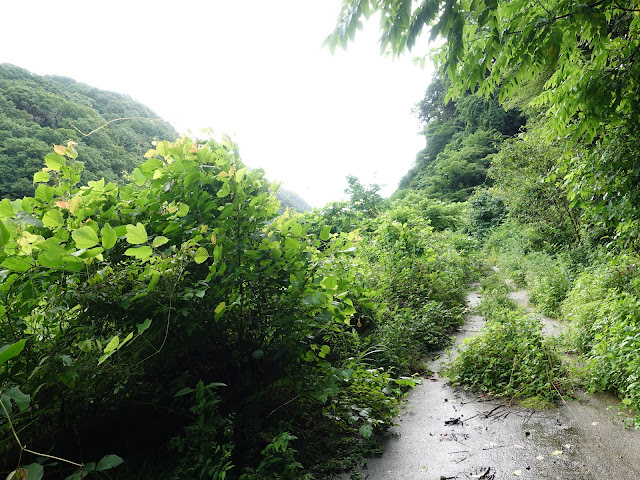 鳥取県西伯郡伯耆町福兼　大江川管理用道路