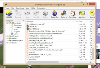 Internet Download Manager