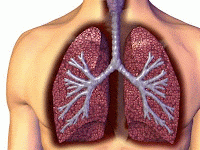 Simple Definition and Description of Lung Cancer
