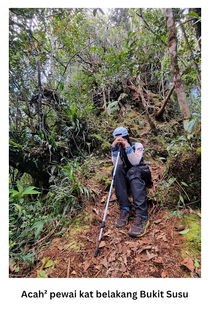 Gunung Sinsing, Gunung Kaingaran, Tambunan, Sabah