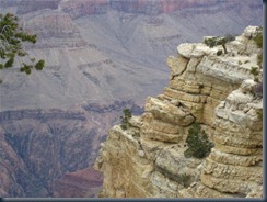 canyon11
