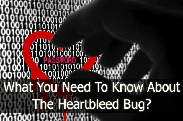 Heartbleed Bug