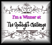 Spotlight Challenge Winner