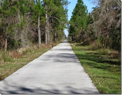 lake_louisa_sp_van_fleet_trail