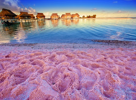 Playa arenas rosadas - Isla Harbour Bahamas