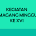 Kegiatan magang minggu ke 16