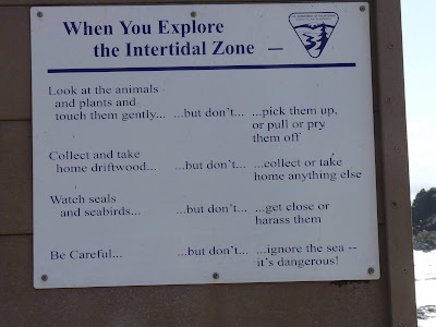 When You Explore the Intertidal Zone - Look at the animals and plants and touch them gently ... but don't ... pick them up, or pull or pry them off, Collect and take home driftwood ... but don't ... collect or take home anything else. Watch seals and sea.s and seabirds ... but don't ... get close or harass them. Be Careful ...but don't ... ignore the sea -- it's dangerous!