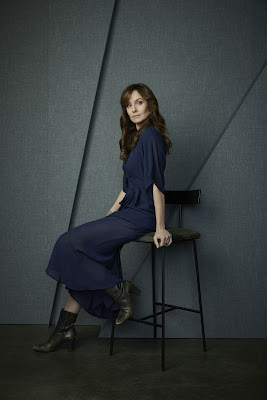 The Company You Keep Series Sarah Wayne Callies Image 1