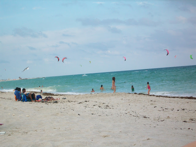 windy,kite,beach