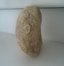 Beautiful Fossil Sea Urchin Echinoid 40mm