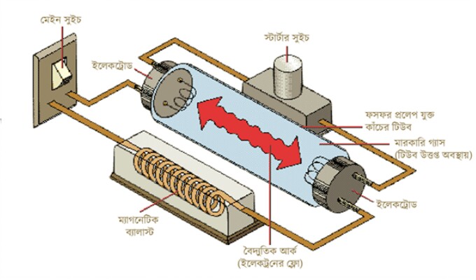 টিউব লাইট, স্টার্টার, ব্যালাস্ট এর বিস্তারিত Scientific কর্মপদ্ধতি - TechnicalBD 