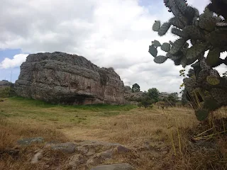 Piedras de chivo negro