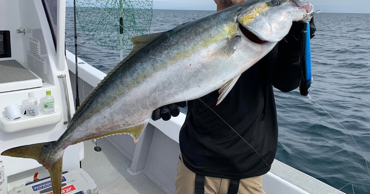 シマノ別注ヒラマ サンライズ新海900