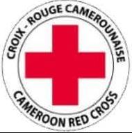 Search for an ICT Specialist 2 at the Red Cross