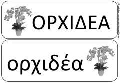 ομ7