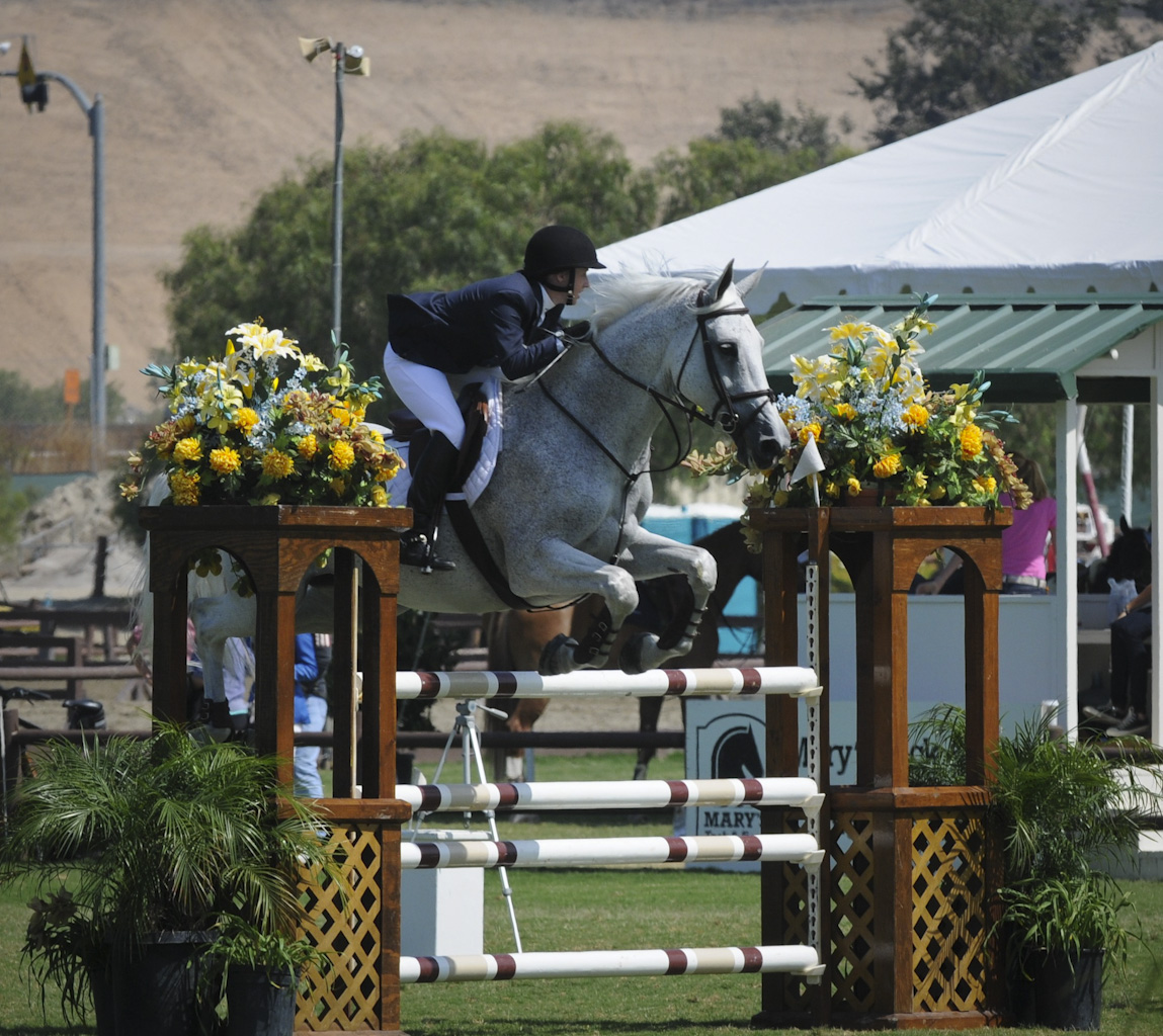 Jeni Brown Shadowbrook Stables Results 2020