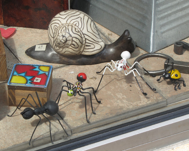 Bugs and a snail in a shop window, Pays de Poche, Rue Galande, Paris