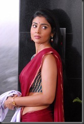 Shriya-saran-spicy-photoshoot-pic1