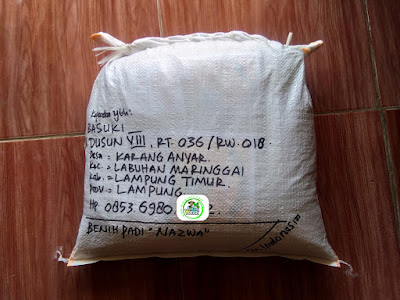  Benih Padi Pesanan   BASUKI Lampung Timur, Lampung.  Benih Sesudah di Packing