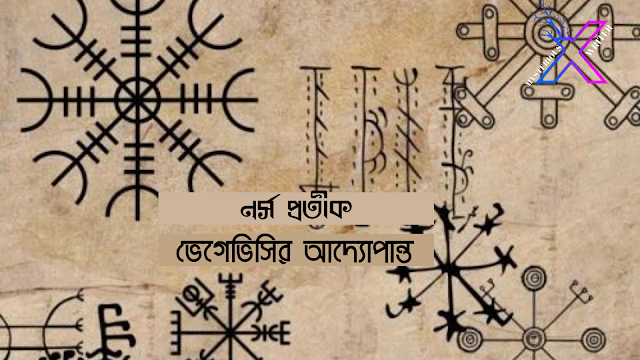 নর্স প্রতীক: ভেগেভিসির আদ্যোপান্ত