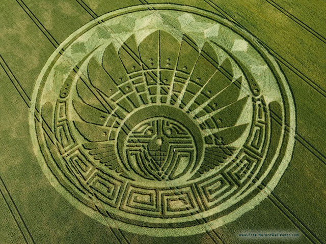 crop circle dengan pola unik dan tingkat kesulitan terbesar-3