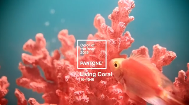 Living-Coral-color-del-año-2019-PANTONE