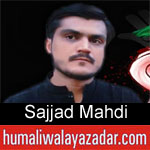 https://humaliwalaazadar.blogspot.com/2019/09/sajjad-mahdi-nohay-2020.html