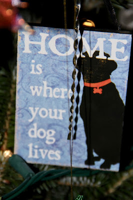 Home is where  your  dog lives.