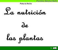 https://cplosangeles.educarex.es/web/quinto_curso/naturales_5/plantas_nutricion_5/plantas_nutricion_5.html