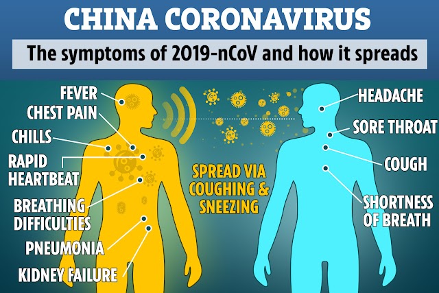 What Is a Coronavirus?